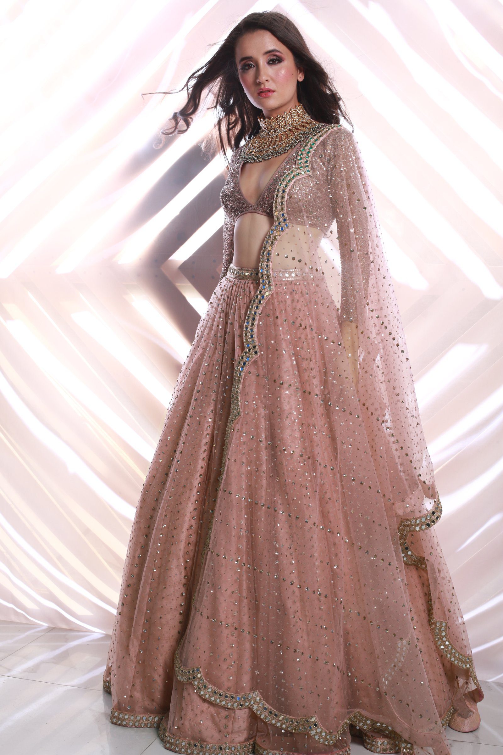 Sequins Scatter Blush Pink Lehenga Set