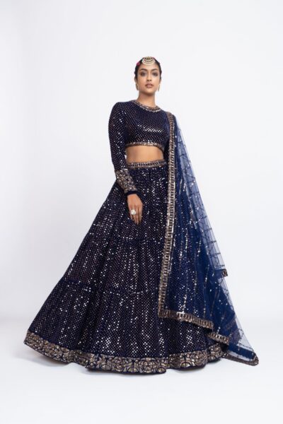 Navy Blue Dense Dot Lehenga Set