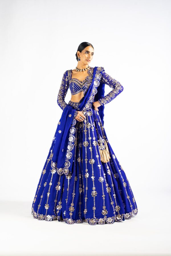 Royal Blue Big Flower Linear Lehenga Set