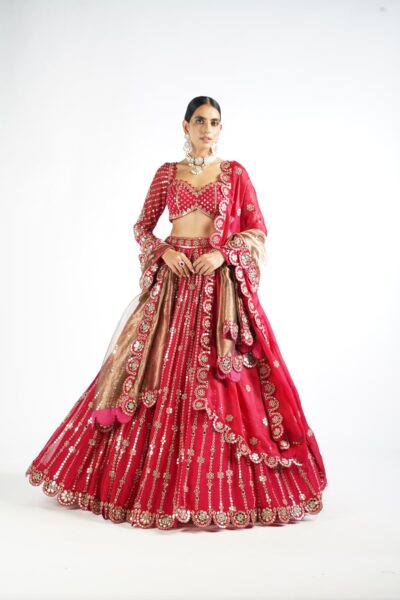 Crimson Red Small Flower Linear Lehenga Set