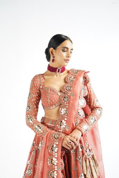 Mellow Rose Big Flower Linear Lehenga Set