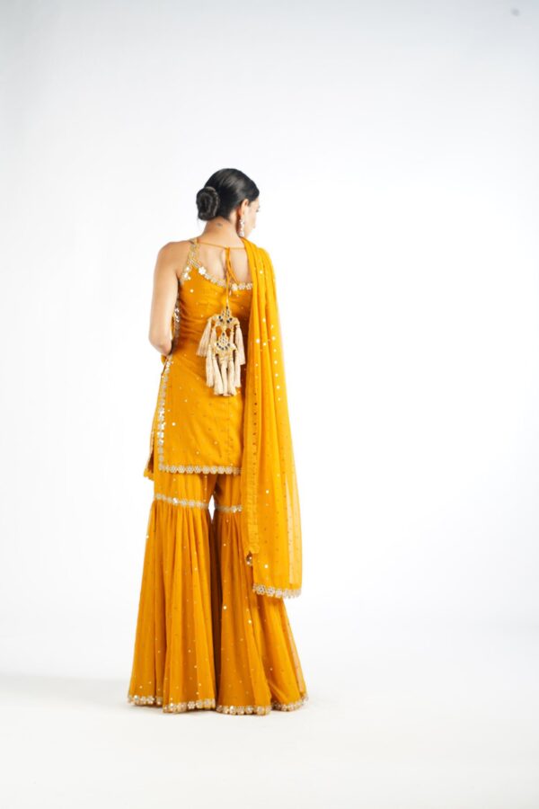 VVANI 030920227411