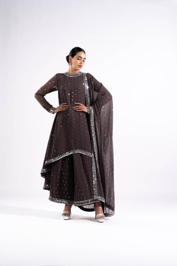 VVANI FEB 233385
