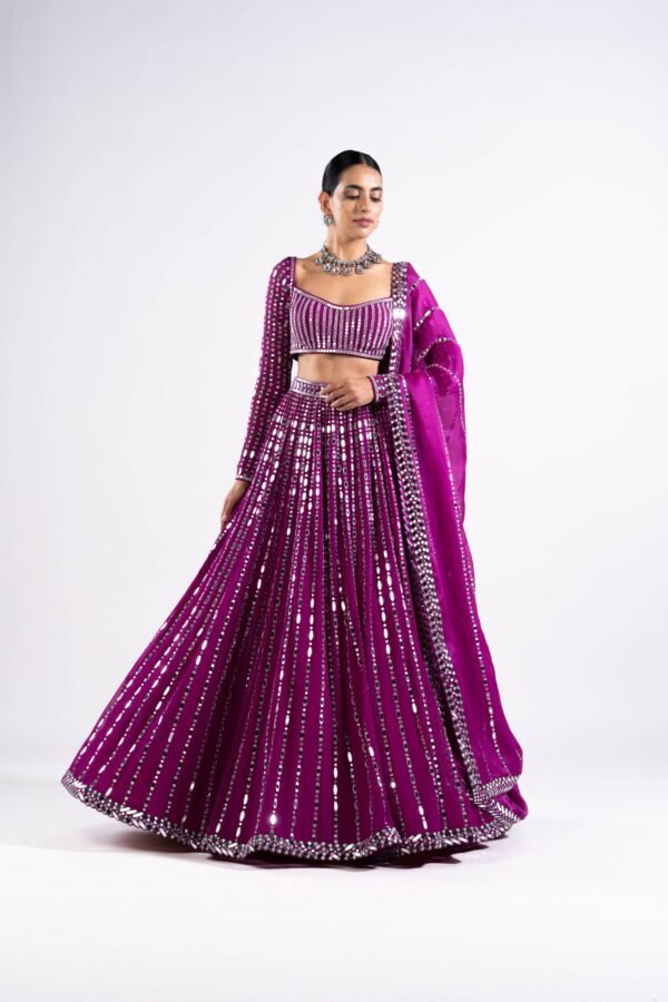 Pop Wine Linear Drop Lehenga Set