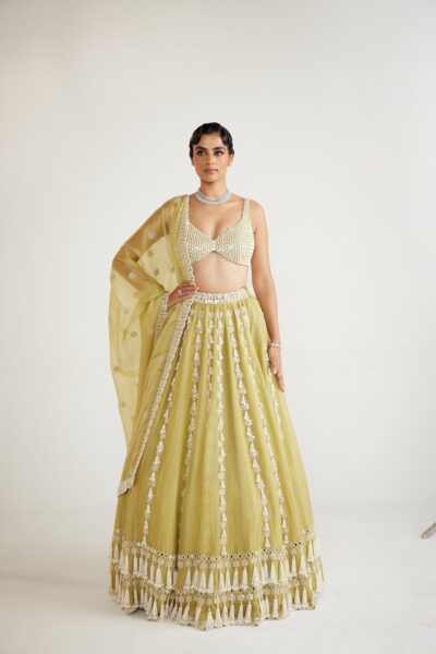 Fern Green Chandelier Pearl Drop Lehenga set