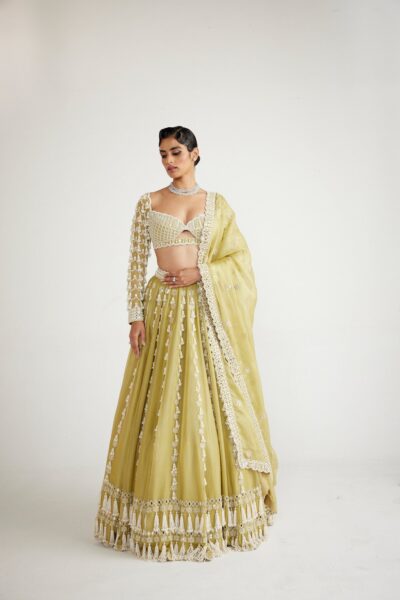 Fern Green Chandelier Pearl Drop Full Sleeve Lehenga set