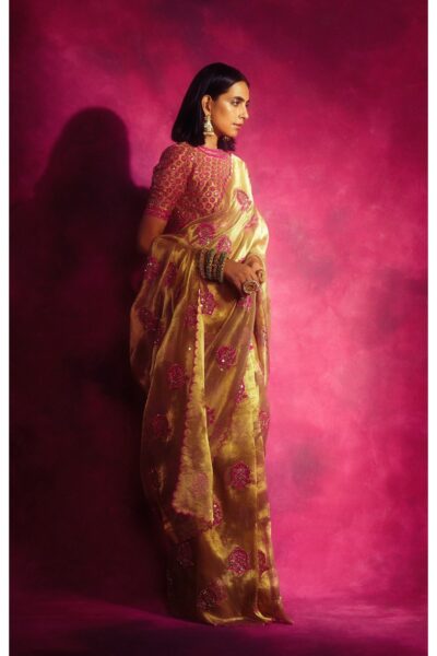 Gold Tissue Applique Saree Set