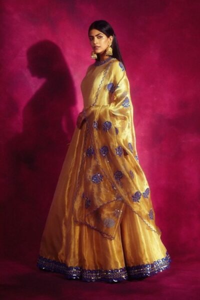 Gold Tissue Applique Anarkali Set