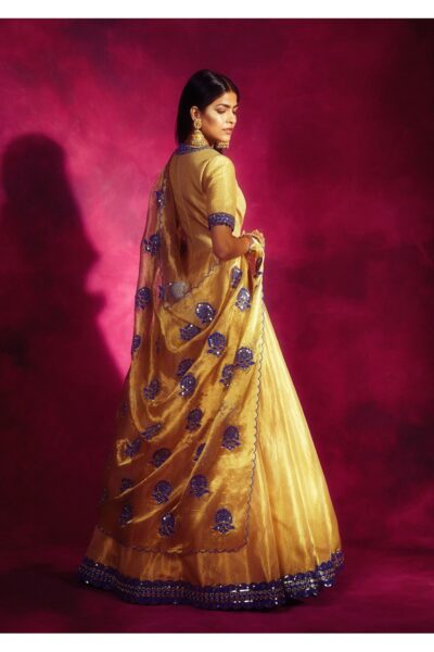 Gold Tissue Applique Anarkali Set