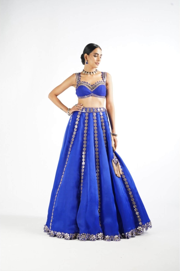 Royal Blue Flower Linear Lehenga Set