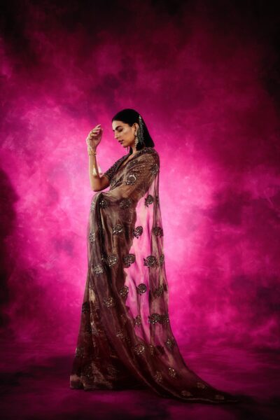 Copper Shimmer Organza Saree Set