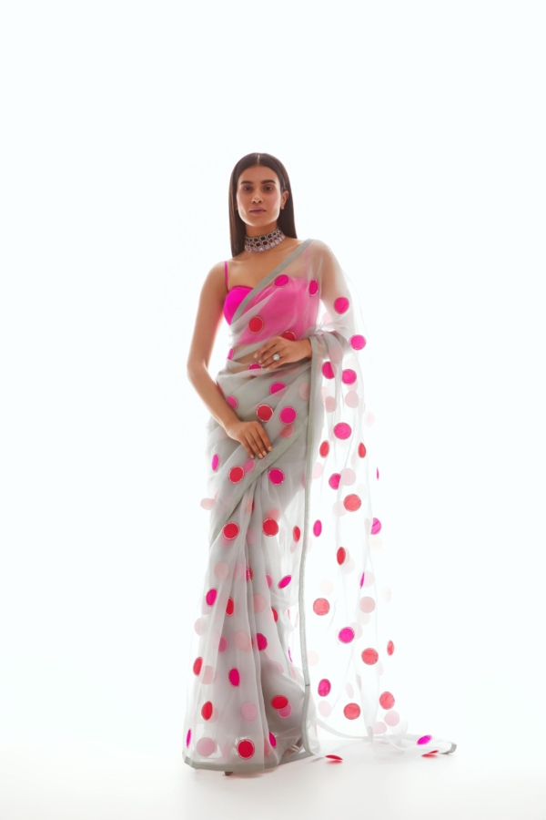 Light Grey Applique Organza Saree Set