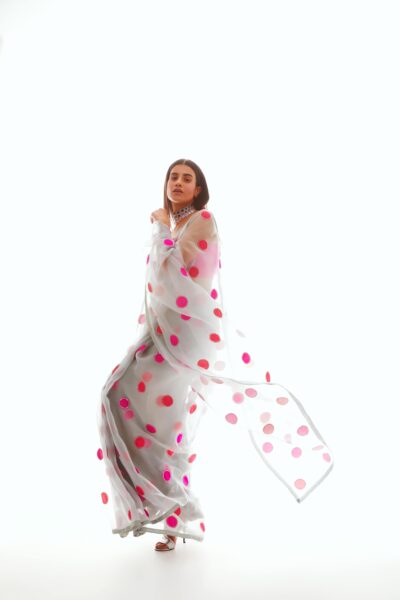 Light Grey Applique Organza Saree Set