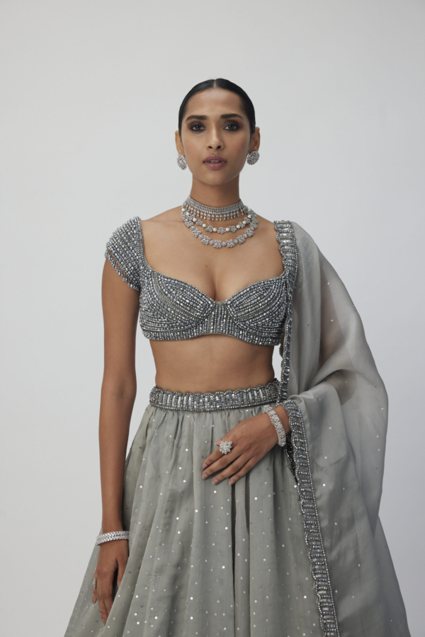 Crystal Grey Sequins Scattered Organza Lehenga Set