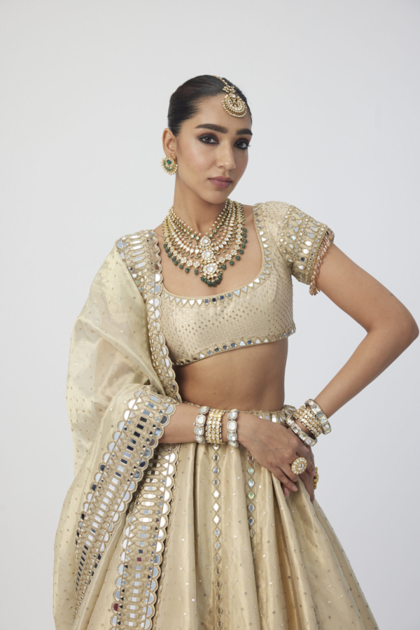 Golden Shimmer Organza Linear Lehenga Set