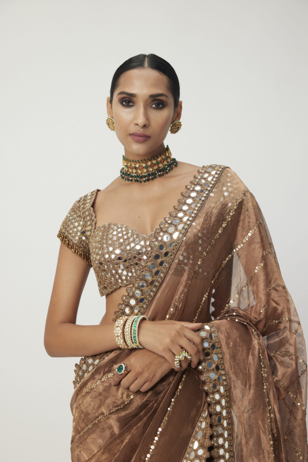 Copper Shimmer Organza Saree Set