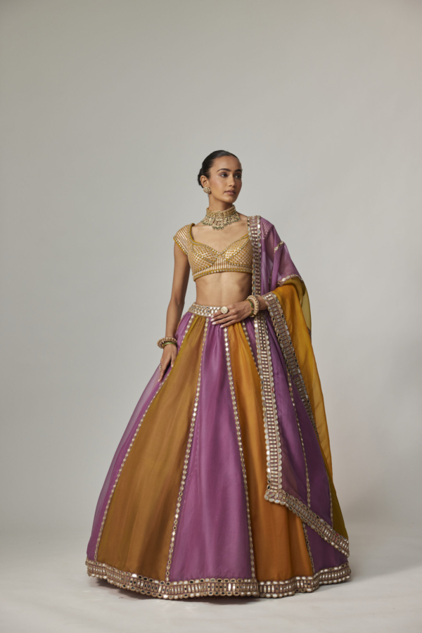 Mustard Multicolour Linear Lehenga With Cap Sleeve Blouse and Dupatta