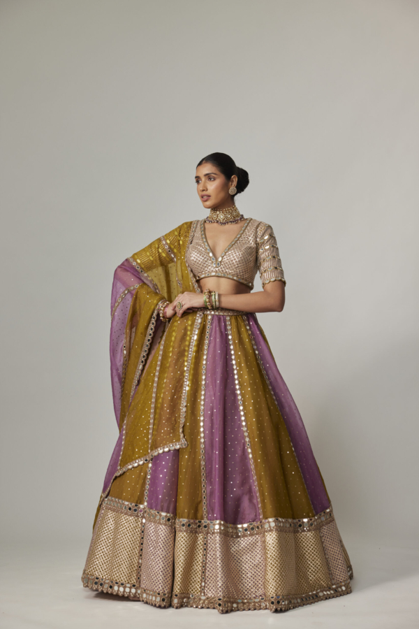 Green Multicolour Sequin Scattered Lehenga With V-Neck Elbow Sleeve Blouse