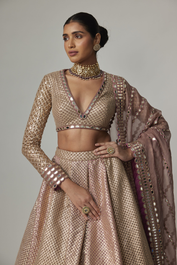 DEEP BEIGE MULTICOLOR SKIRT WITH V NECK FULL SLEEVE BLOUSE