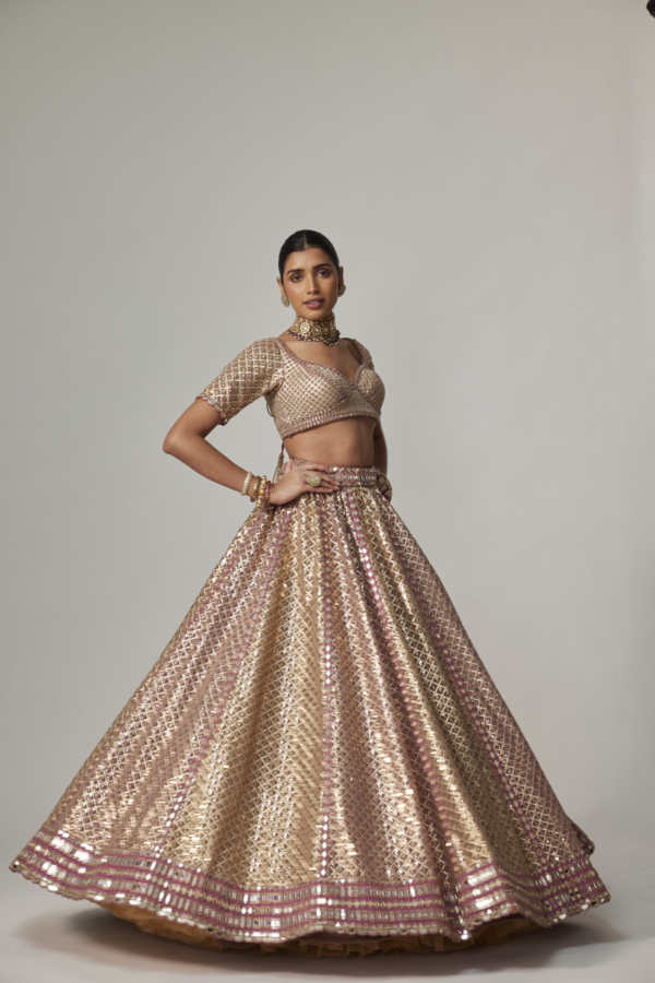 DEEP BEIGE MULTICOLOR METALLIC LEHENGA WITH ELBOW BLOUSE