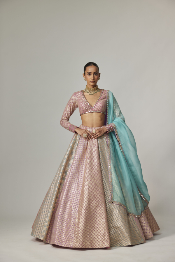 DARK BLUSH MULTICOLOR METALLIC GOTA LEHENGA WITH V NECK BLOUSE AND AQUA DUPATTAA