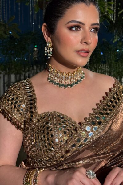 NATASHA LUTHRA In Copper Shimmer Organza Saree Set