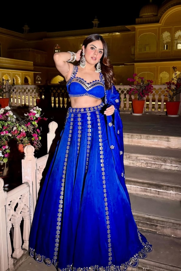 SIMRAN LUTHRIA In Royal Blue Flower Linear Lehenga Set
