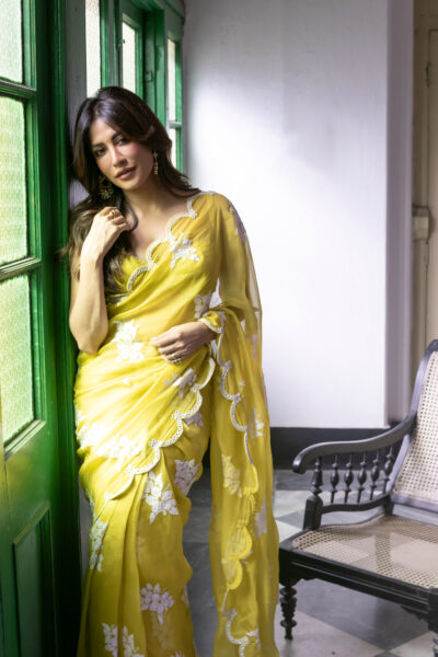 CHITRANGDA SINGH In Moss Green Gul Saree Set
