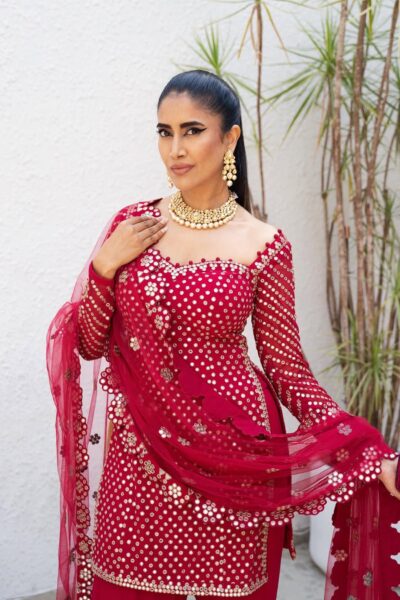 Mellow Wine Sharara Set (ALISHA PEKHA)