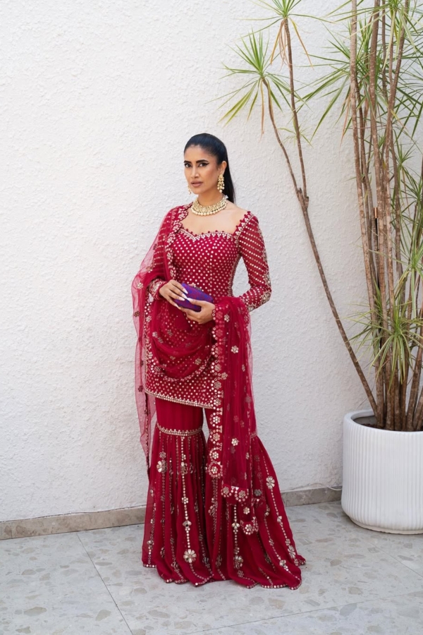 Mellow Wine Sharara Set (ALISHA PEKHA)