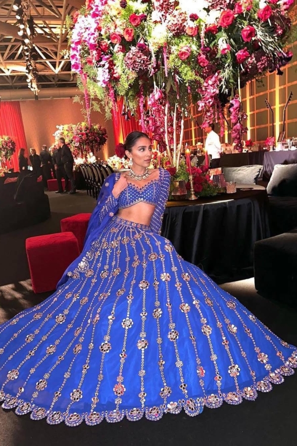 PAYALIA In Jhalak Royal Blue Big Flower Linear Lehenga Set