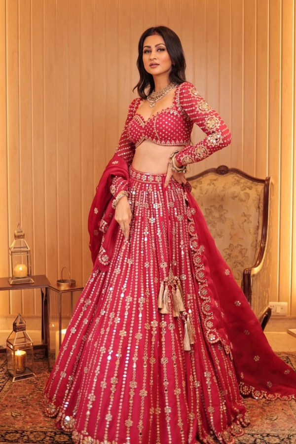 SUKHNEETT WADHWA In Jhalak Mellow Wine Small Flower Linear Lehenga Set