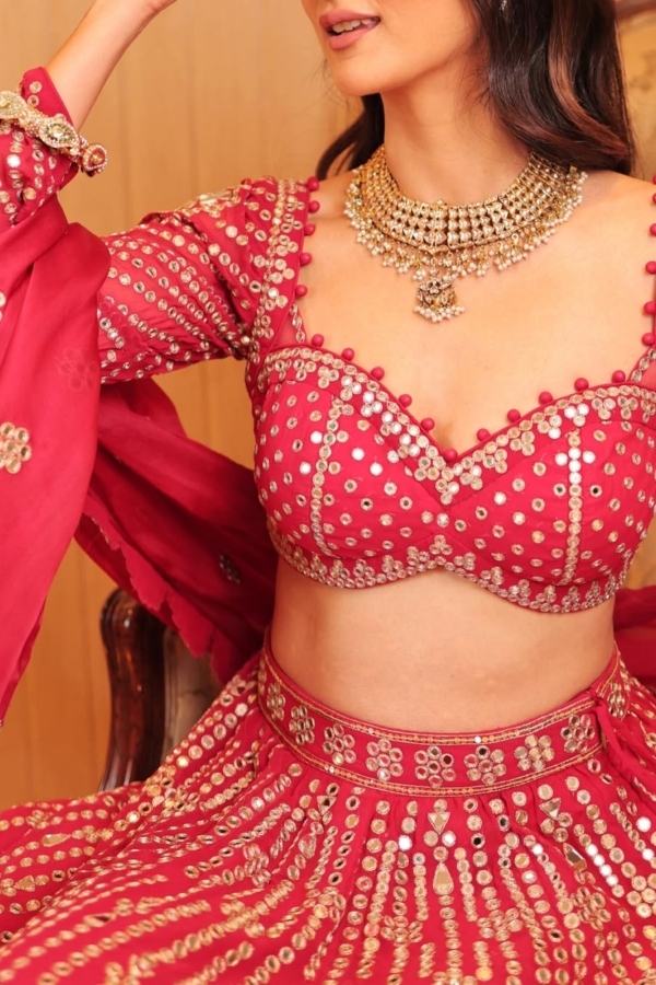 SUKHNEETT WADHWA In Jhalak Mellow Wine Small Flower Linear Lehenga Set