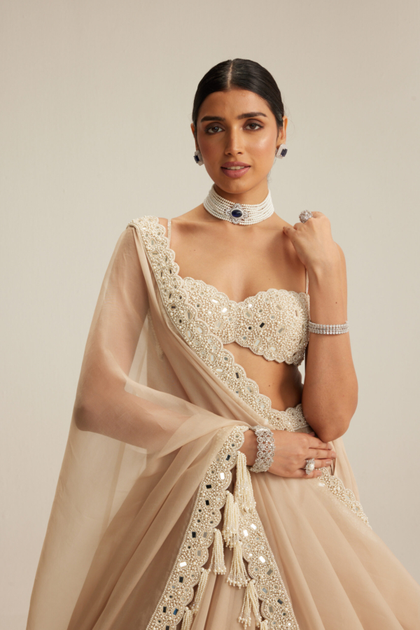 Light Beige Organza Lehenga Set