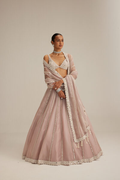 Ash Pink Pearl & Mirror linear Lehenga with V neck Blouse
