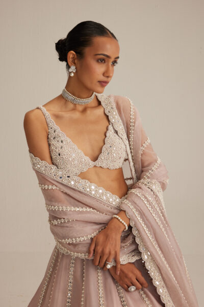 Ash Pink Pearl & Mirror linear Lehenga with V neck Blouse