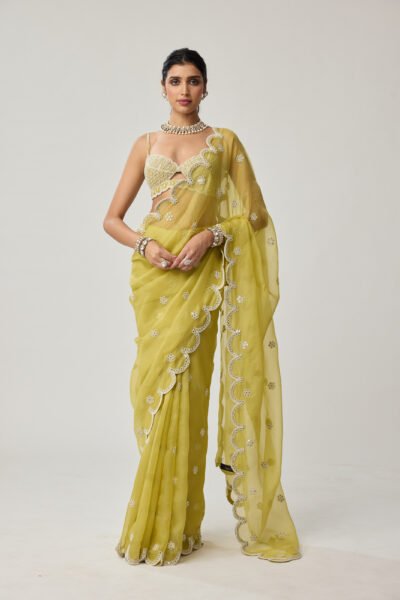 Fern Green Organza Mirror and Pearl saree set