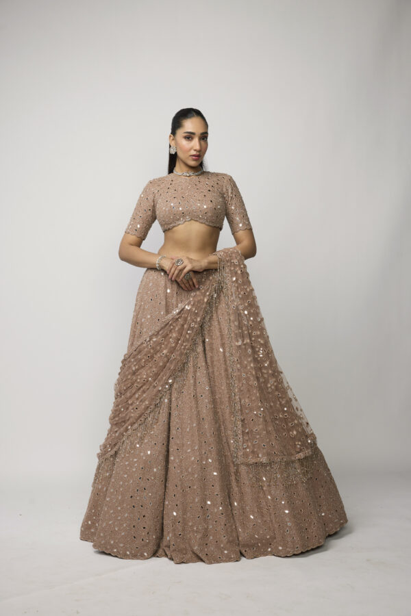 Bronze Rosé Lehenga Set