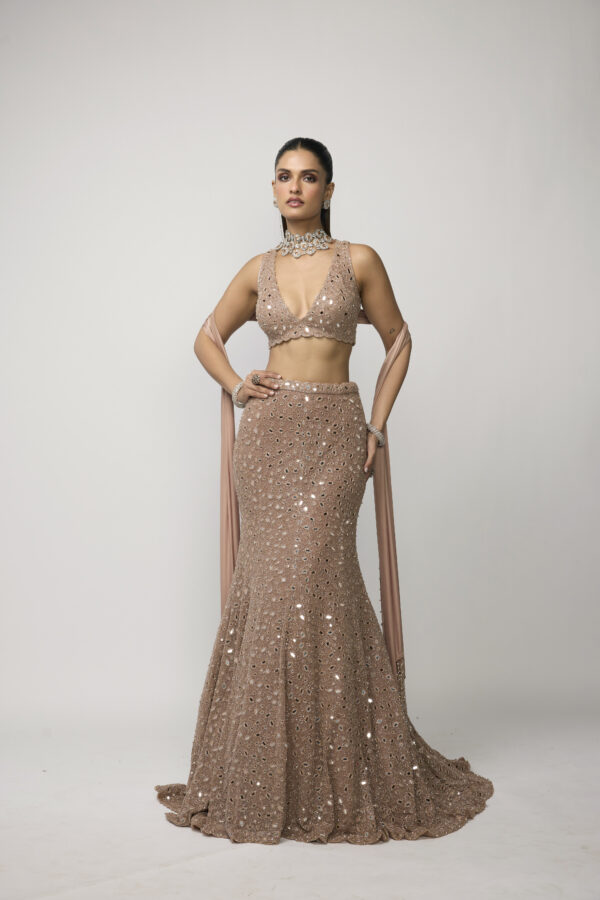 Bronze Rosé Fishcut Lehenga Set