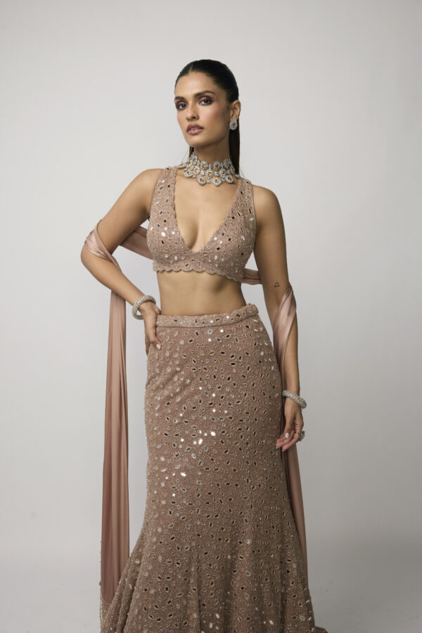 Bronze Rosé Fishcut Lehenga Set