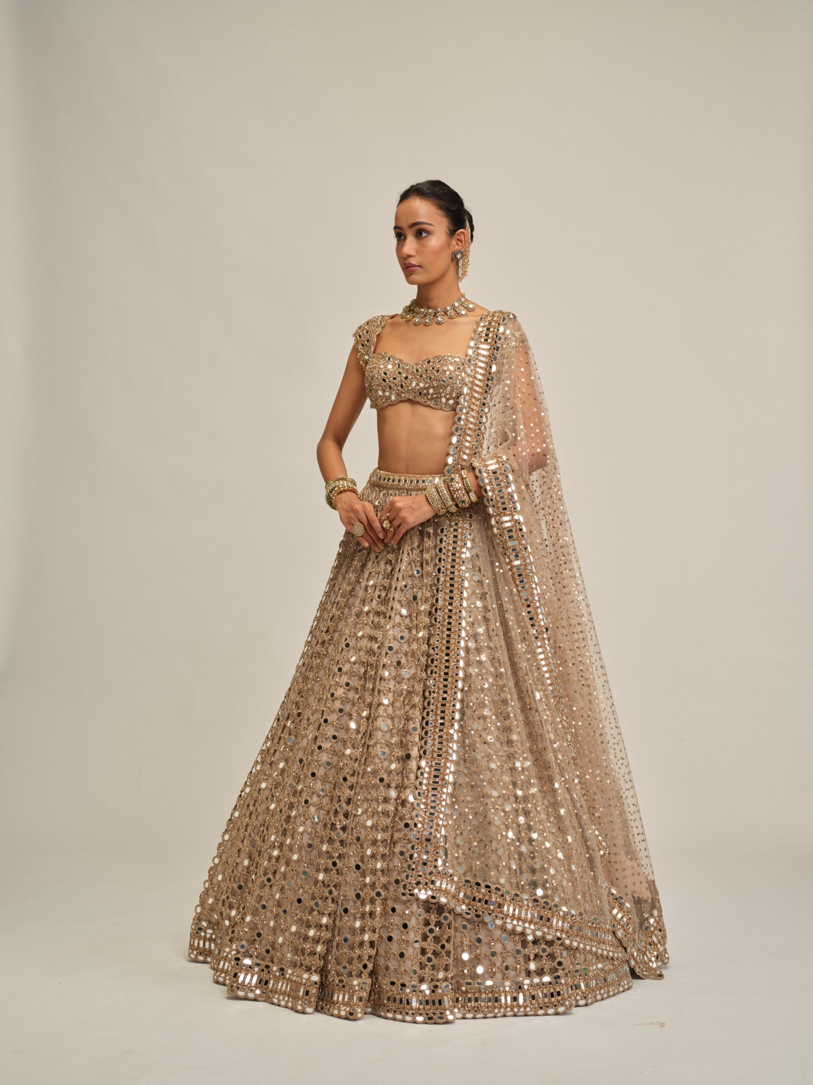 LIGHT BEIGE BIG MIRROR CUTWORK LEHENGA SET - Image 4