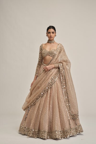 LIGHT BEIGE SEQUINS EMBROIDERED FULL SLEEVES LEHENGA SET
