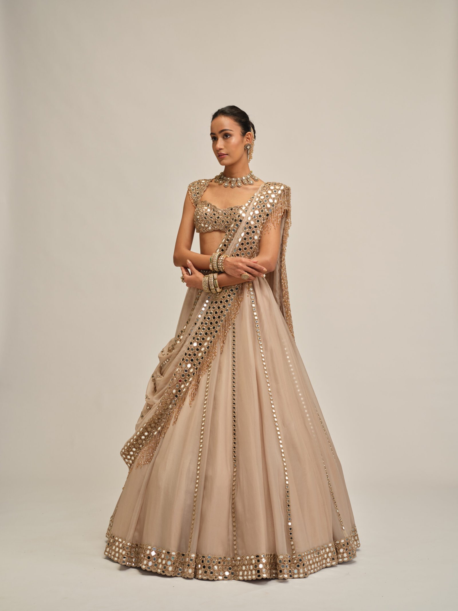 LIGHT BEIGE MIRROR LINEAR EMBROIDERD LEHENGA SET - Image 5