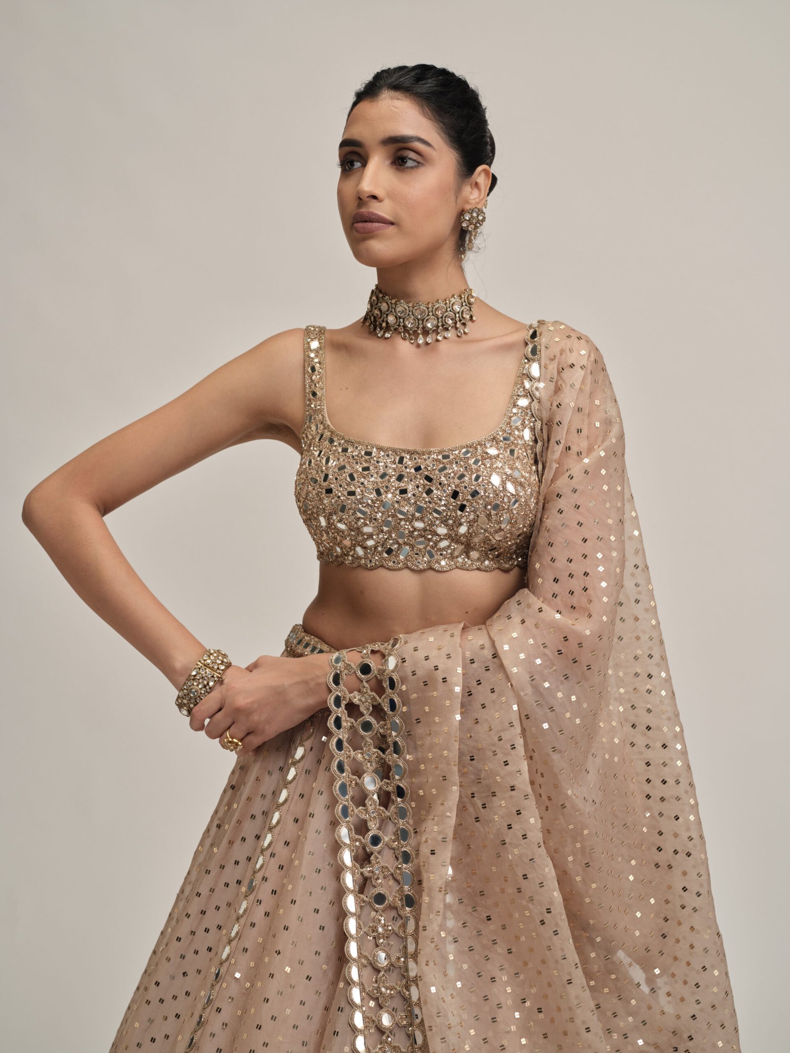 LIGHT BEIGE SEQUINS EMBROIDERED LEHENGA SET - Image 2