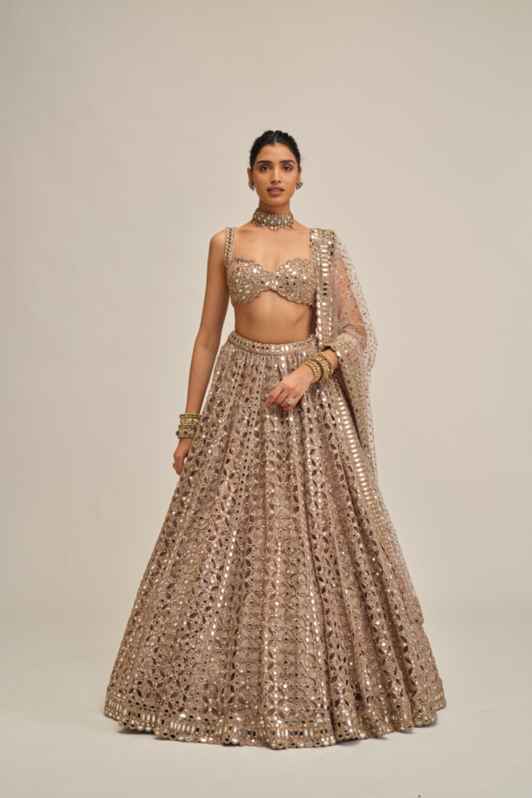 ASH PINK CIRCULAR CUTWORK LEHENGA SET