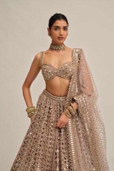 ASH PINK CIRCULAR CUTWORK LEHENGA SET