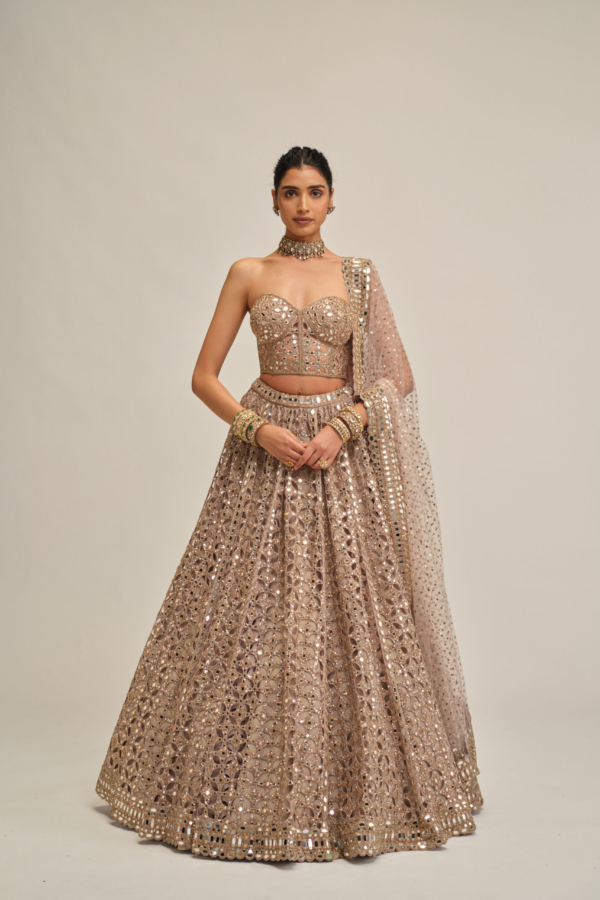 ASH PINK CIRCULAR CUTWORK LEHENGA WITH CORSET SET