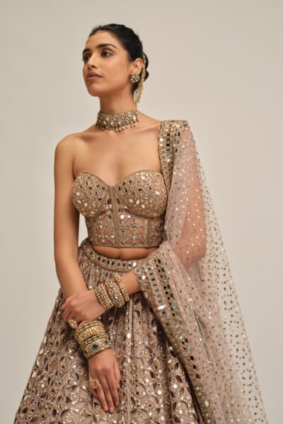 ASH PINK CIRCULAR CUTWORK LEHENGA WITH CORSET SET