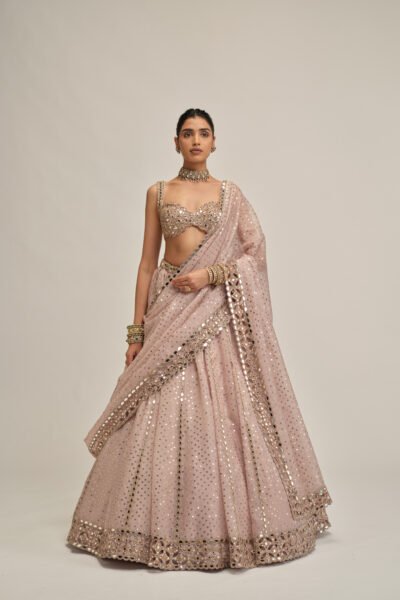 ASH PINK LINEAR MIRROR SEQUINS EMBROIDERED LEHENGA SET