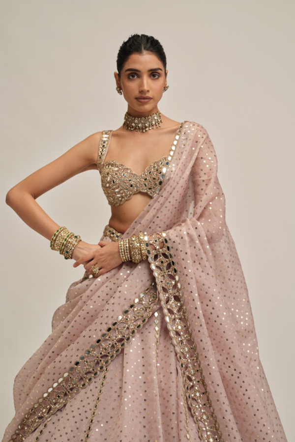 ASH PINK LINEAR MIRROR SEQUINS EMBROIDERED LEHENGA SET